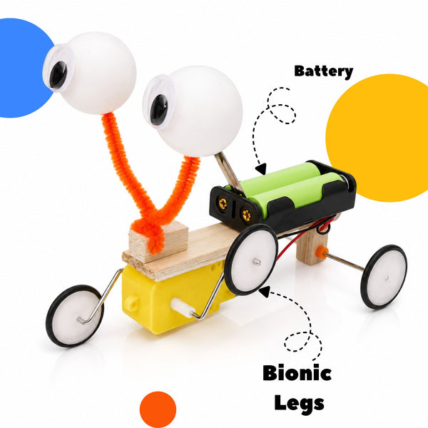 Wobbly Eyes — Build Your Own Bionic Reptile Robot | DIY STEM Starter Kit | Ages 8–15
