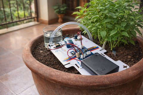 Watering plant